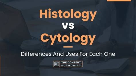 Histology vs Cytology: Differences And Uses For Each One