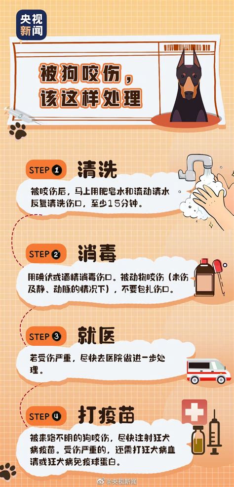 认识狂犬病：被猫狗抓伤和咬伤 世卫推荐“十日观察法” 科技与健康 Cnbetacom