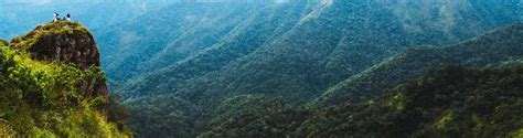 Parunthumpara | Hills and Hues Thekkady