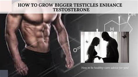 How To Grow Bigger Testicles Enhance Testosterone Youtube