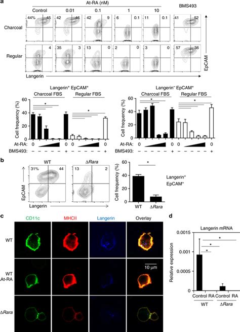 RA Negatively Regulates LC Development A RA Suppresses Langerin Cell