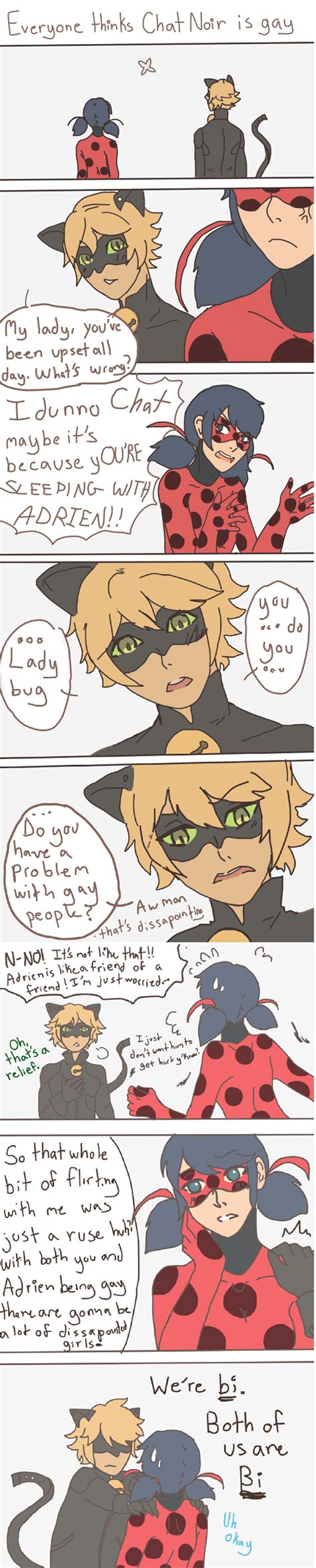 Everyone Thinks Chat Noir Is Gay Pt I Miraculous Ladybug Know