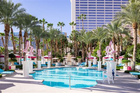 Flamingo Las Vegas: Pool & Spa Day Pass Las Vegas | ResortPass