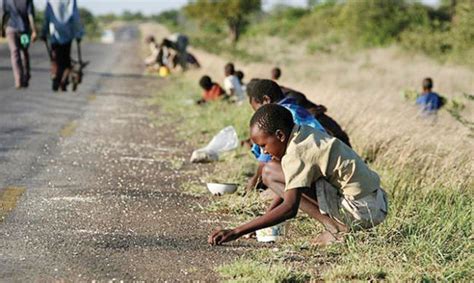 New Report Says Virus Could Worsen Zimbabwe S Hunger Crisis Zimbabwe