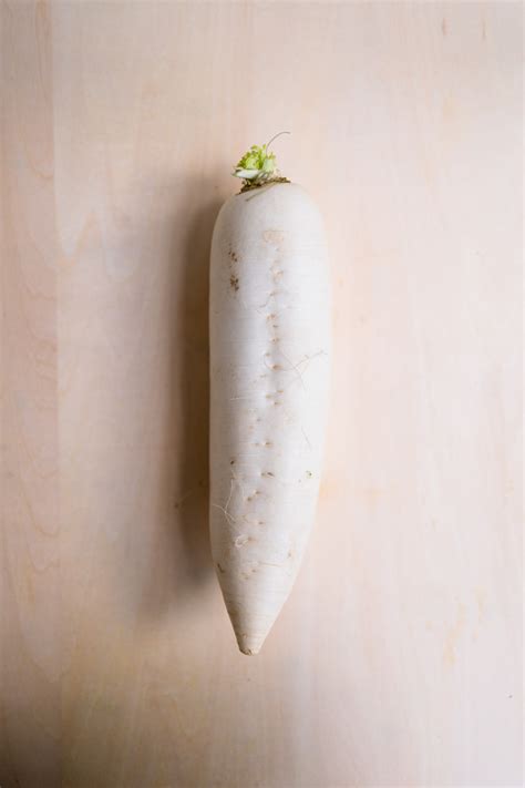 Korean White Radish Pickle LePlainCanvas