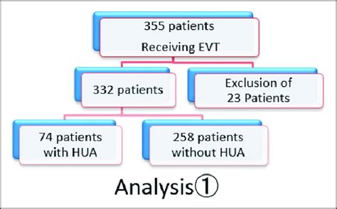 Study Profile Abbreviations Evt Endovascular Therapy Hua Hyper