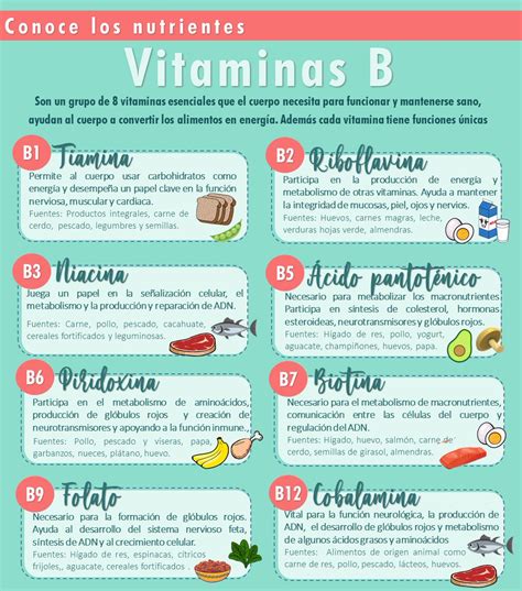 Vitaminas Del Complejo B Informacionpublica Svet Gob Gt