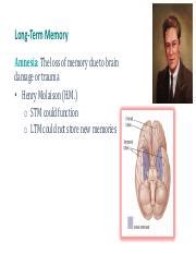 Ch Memory Part Ii Icon Pdf Long Term Memory Amnesia The Loss Of