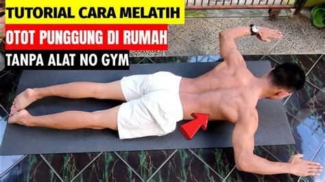 Tutorial Cara Melatih Otot Punggung Cuma Di Rumah Tanpa Alat No Gym