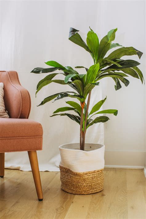 Dracaena Indoor Faux Plant Faux Plants Indoor Artificial Plants For