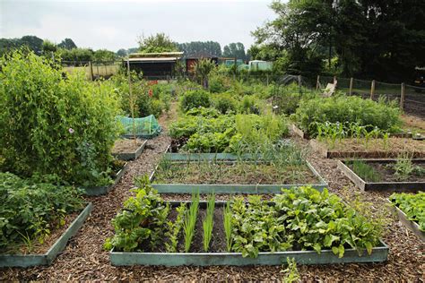 Permacultuur Google Zoeken Permacultuur Moestuin Hellende Tuin