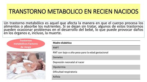 Trastorno Metab Lico En Reci N Nacidos Alondra Julissa Berrocal Udocz