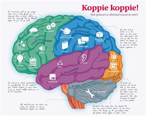 Onze Projecten Axioma Infographic Communicatie Hersenen