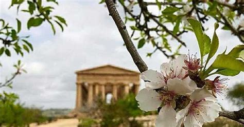 Agrigento In Primavera Cosa Fare A Marzo Nella Capitale Della Cultura