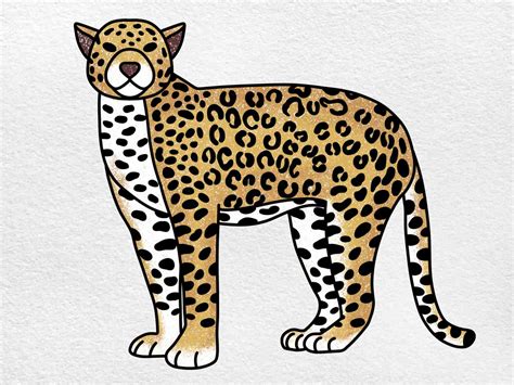 Jaguar Drawing - HelloArtsy