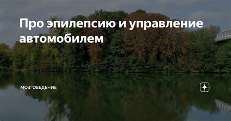 Про эпилепсию и управление автомобилем | Мозговедение | Дзен