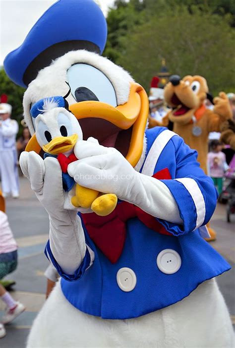 Disneyland Donald Duck Disney Cute Disney Disney Mickey