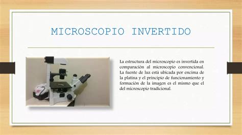 Tipos De Microscopios Ppt