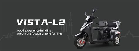 Vista L2 Eec Certificated 1000w Electronic Tricycle Electric Scooter