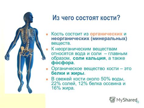 Презентация на тему: "1 Кости человека Давайте знакомиться!. 2 Скелет ...