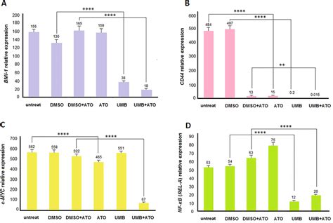 The expression pattern of BMI 1 CD44 c MYC and NF κB REL A upon