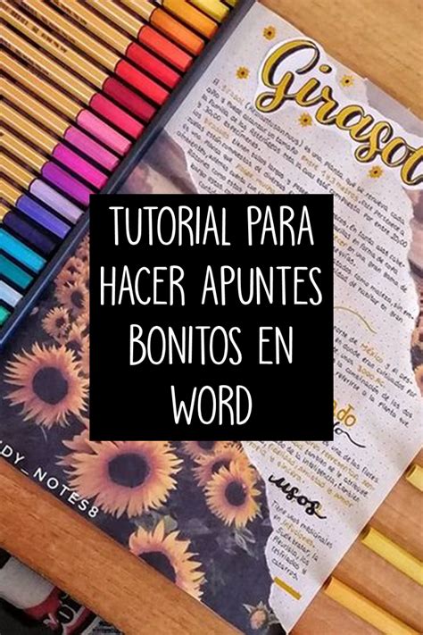 Apuntes Bonitos En Word