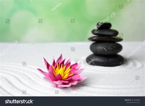 Zen Garden Beautiful Lotus Flower Stones Stock Photo 1615299022 ...