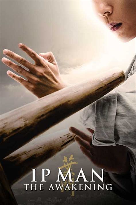 Ip Man The Awakening Deart The Poster Database Tpdb