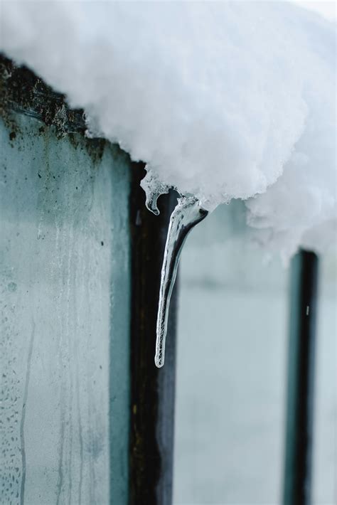 Icicle Photos, Download The BEST Free Icicle Stock Photos & HD Images