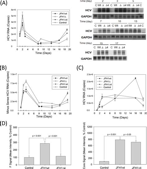 Jfh And Replication In Huh Cells A B Huh Cells Were