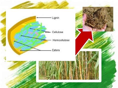 jurnal pemanfaatan biomassa lignoselulosa ampas tebu  produksi