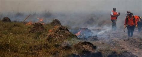 Incendio Forestal Destruye Casi Mil Hect Reas En Argentina