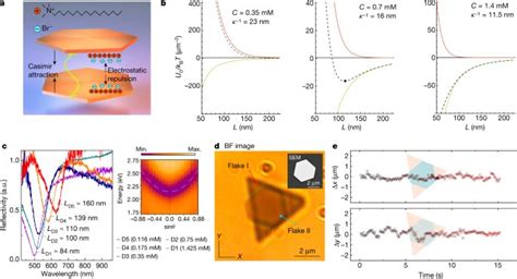 Self Assembled Optical Cavities Can Reach A Strong Coupling State That