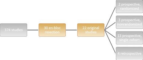 Current Evidence Of Transurethral En Bloc Resection Of Nonmuscle