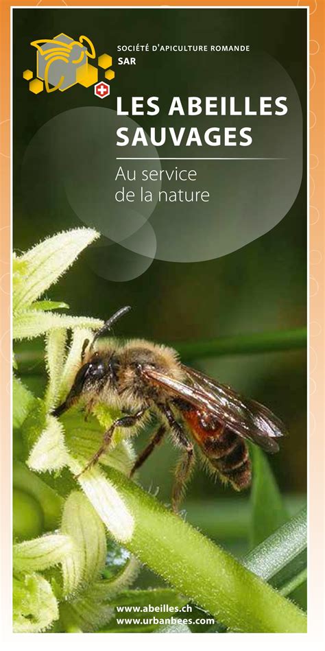 D Pliant Les Abeilles Sauvages Soci T Romande Dapiculture