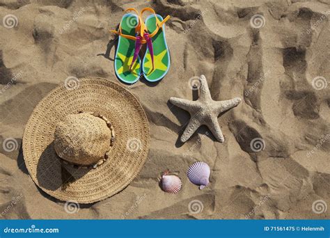 Group Of Objects On The Sand Stock Image Image Of Starfish Topical