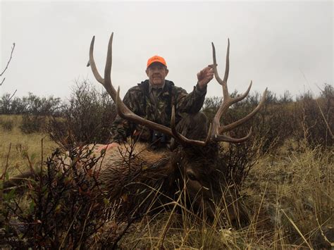 2015 Season Big Game Hunting Photos - TIMBERLINE - WYOMING BIG GAME HUNTING