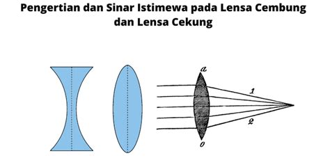 Lensa Cembung Dan Cekung Memahami Perbedaan Dan Fungsinya Yok Belajar