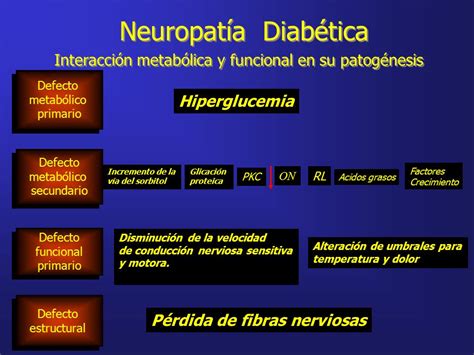 Fisiopatología De La Neuropatía Diabética