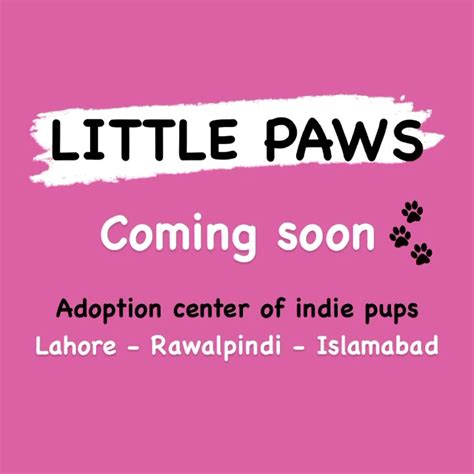 Lahore There Will Be Adoption Center Opening In Lahore Where People