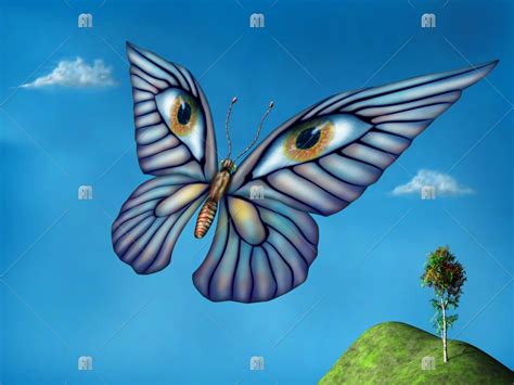 Surreal Butterfly Digital Painting Or Illustration For Sale By