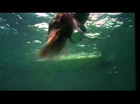 underwater nude freediving woman no fins XVIDEOSダウンローダー XVIDEOSの動画をブラウザ上から1クリックでダウンロード