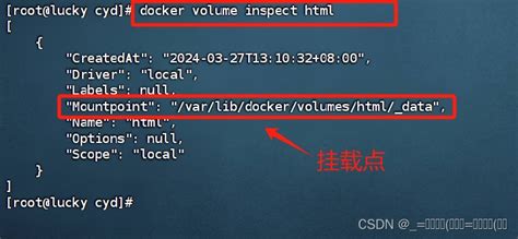 Docker数据卷挂载 Csdn博客