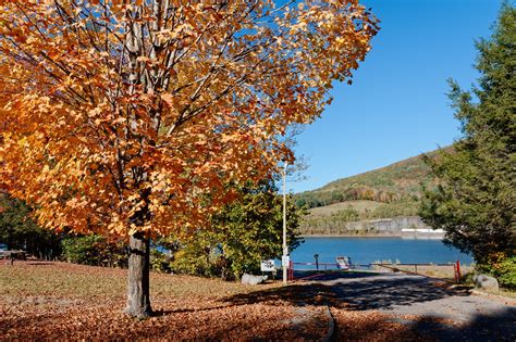 Mine Kill State Park North Blenheim New York Paul Flickr