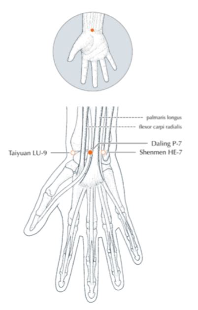 Acupuncture For Vagus Nerve Stimulation Dr Xiang Jun Experienced