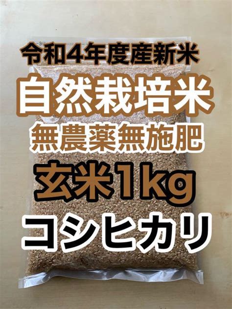 玄米1kg 無農薬新米 令和4年度兵庫県産コシヒカリ 無農薬無施肥の自然栽培米 メルカリ