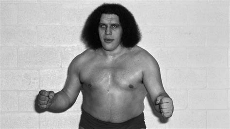 The Tragic Life And Death Of Andre The Giant