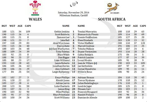 Preview - Wales vs South Africa - Ray's Rugby