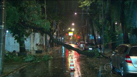 Queda De árvores Interditam Ruas Nas Zonas Sul E Oeste Bom Dia Rio G1