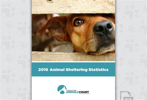 2016 Animal Sheltering Statistics - Shelter Animals Count